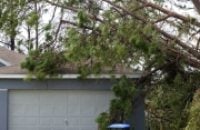 garage-door-fallen-down-big-tree-on-a-house-services-box